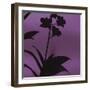 Exotica III-Tony Koukos-Framed Giclee Print