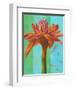 Exotica III-Patricia Pinto-Framed Art Print