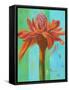 Exotica III-Patricia Pinto-Framed Stretched Canvas