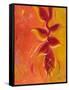 Exotica IV-Patricia Pinto-Framed Stretched Canvas
