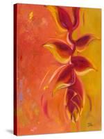 Exotica IV-Patricia Pinto-Stretched Canvas