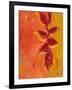 Exotica IV-Patricia Pinto-Framed Art Print