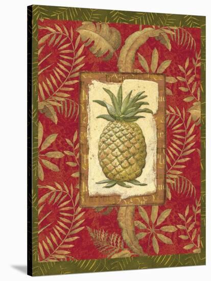 Exotica Pineapple-Charlene Audrey-Stretched Canvas