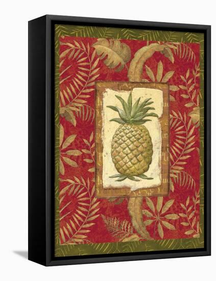 Exotica Pineapple-Charlene Audrey-Framed Stretched Canvas