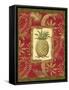 Exotica Pineapple-Charlene Audrey-Framed Stretched Canvas