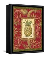 Exotica Pineapple-Charlene Audrey-Framed Stretched Canvas