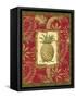 Exotica Pineapple-Charlene Audrey-Framed Stretched Canvas