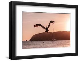Expand Your Wings-Belinda Shi-Framed Photographic Print