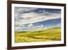 Expansive rolling fields of wheat and clouds, Palouse region of western Idaho.-Adam Jones-Framed Photographic Print