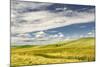 Expansive rolling fields of wheat and clouds, Palouse region of western Idaho.-Adam Jones-Mounted Photographic Print
