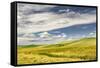 Expansive rolling fields of wheat and clouds, Palouse region of western Idaho.-Adam Jones-Framed Stretched Canvas