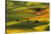 Expansive view of rolling hills of wheat crops at sunrise, from Steptoe Butte, Palouse region of Ea-Adam Jones-Stretched Canvas