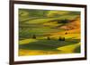 Expansive view of rolling hills of wheat crops at sunrise, from Steptoe Butte, Palouse region of Ea-Adam Jones-Framed Photographic Print