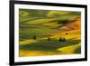 Expansive view of rolling hills of wheat crops at sunrise, from Steptoe Butte, Palouse region of Ea-Adam Jones-Framed Photographic Print