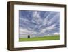 Expansive wheat field and trees, Palouse farming region of Eastern Washington State-Adam Jones-Framed Photographic Print