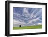 Expansive wheat field and trees, Palouse farming region of Eastern Washington State-Adam Jones-Framed Photographic Print