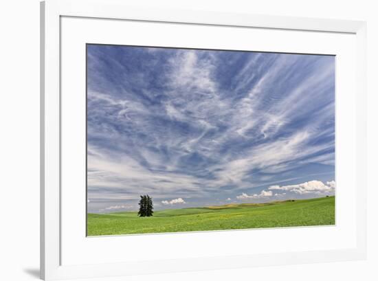 Expansive wheat field and trees, Palouse farming region of Eastern Washington State-Adam Jones-Framed Photographic Print