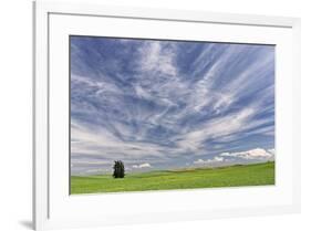 Expansive wheat field and trees, Palouse farming region of Eastern Washington State-Adam Jones-Framed Photographic Print