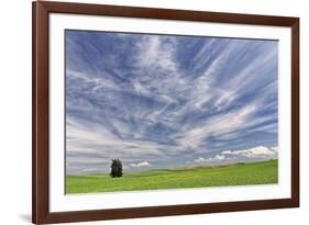 Expansive wheat field and trees, Palouse farming region of Eastern Washington State-Adam Jones-Framed Photographic Print