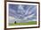 Expansive wheat field and trees, Palouse farming region of Eastern Washington State-Adam Jones-Framed Photographic Print