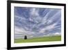 Expansive wheat field and trees, Palouse farming region of Eastern Washington State-Adam Jones-Framed Photographic Print