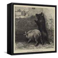 Expectation-Briton Riviere-Framed Stretched Canvas