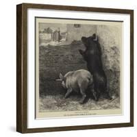 Expectation-Briton Riviere-Framed Giclee Print