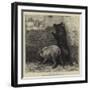 Expectation-Briton Riviere-Framed Giclee Print