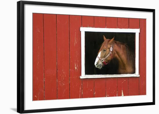 Expectations-Bill Coleman-Framed Giclee Print