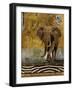 Expedition I-Patricia Pinto-Framed Art Print