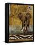 Expedition I-Patricia Pinto-Framed Stretched Canvas