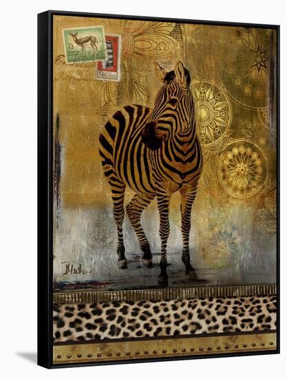 Expedition II-Patricia Pinto-Framed Stretched Canvas