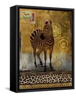 Expedition II-Patricia Pinto-Framed Stretched Canvas