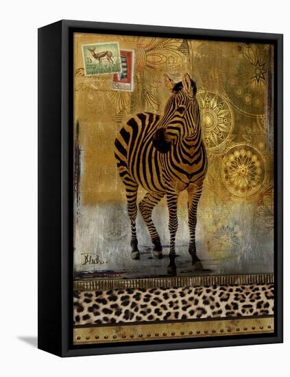 Expedition II-Patricia Pinto-Framed Stretched Canvas
