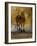 Expedition II-Patricia Pinto-Framed Art Print