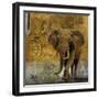 Expedition Square I-Patricia Pinto-Framed Art Print