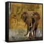 Expedition Square I-Patricia Pinto-Framed Stretched Canvas