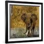 Expedition Square I-Patricia Pinto-Framed Art Print