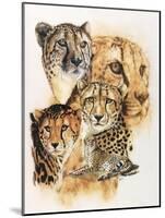 Expeditious-Barbara Keith-Mounted Giclee Print