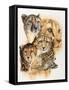 Expeditious-Barbara Keith-Framed Stretched Canvas