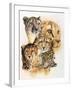 Expeditious-Barbara Keith-Framed Giclee Print