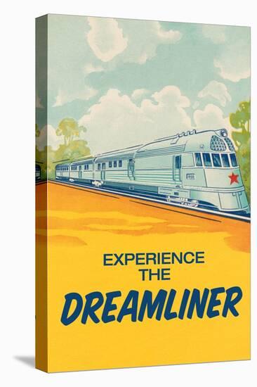 Experience the Dreamliner-null-Stretched Canvas