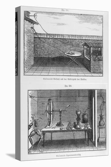 Experiment on Frogs by Louis Galvani (1737-98) Late 18th Century-null-Stretched Canvas