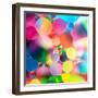 Experiment with Oil Drops on Water, Colorful Background-Abstract Oil Work-Framed Photographic Print