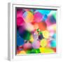 Experiment with Oil Drops on Water, Colorful Background-Abstract Oil Work-Framed Photographic Print