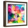 Experiment with Oil Drops on Water, Colorful Background-Abstract Oil Work-Framed Premium Photographic Print