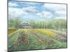 Experimental Farms Ottawa-Kevin Dodds-Mounted Giclee Print