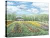 Experimental Farms Ottawa-Kevin Dodds-Stretched Canvas