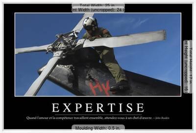 Expertise Citation Et Affiche D Inspiration Et Motivation Photographic Print Allposters Com