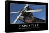 Expertise: Inspirational Quote and Motivational Poster-null-Framed Stretched Canvas